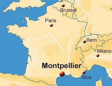 Vector map Montpellier France