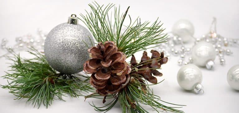 Happy Holidays! Express Your Christmas Wishes with the Subjunctive